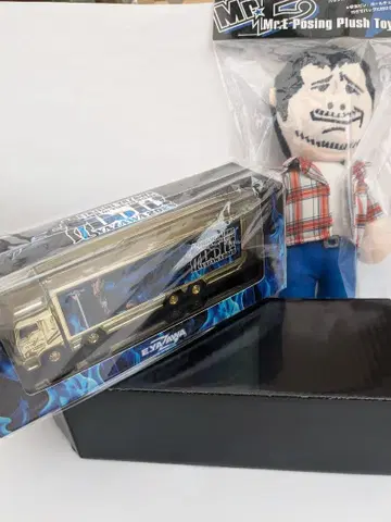 야자와 에이요시 트랜스포머, 포징