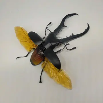 새상품급 생물대도감 메탈리페르 호소아카사슴벌레 리얼 곤충 모형 깃털 포함