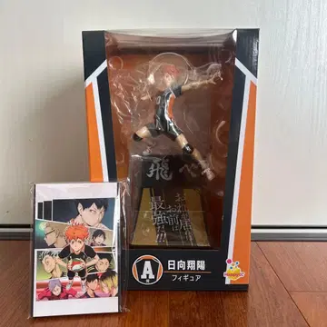 하이큐 Happy 복권 A상 히나타 쇼요 피규어