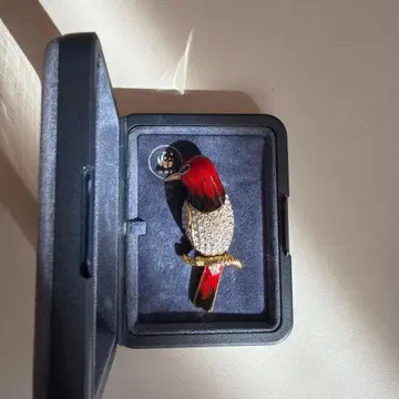 A&S 새 브로치 박스 포함