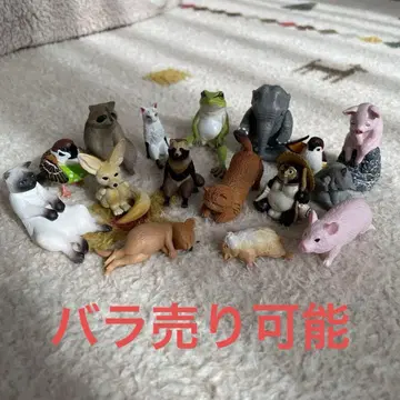 동물 가챠 묶음 판매