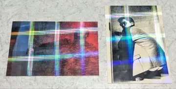 MOROHA 트레이딩 카드