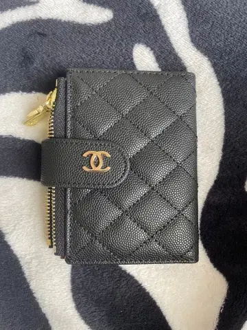 코인 케이스 카드 케이스