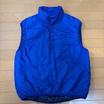 patagonia micro puff vest 00s