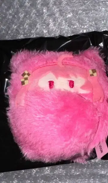 컬러풀피치 노아 쿠루타피누이