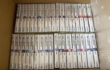 던전에서 만남을 추구하면 안 되는 걸까 소설 48권