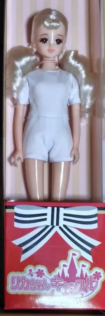 초대 제니 2025년 버스디 모델 새상품