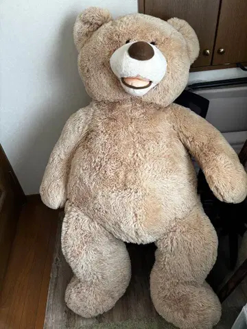[ 새상품급 ] 코스트코 봉제 인형 큰 테디 베어 곰