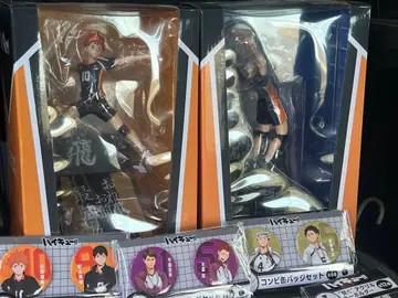 하이큐!! 히나타 쇼요 카게야마 토비오 피규어 세트 제일복권