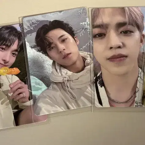 세븐틴 섹터 리페키지 앨포양도