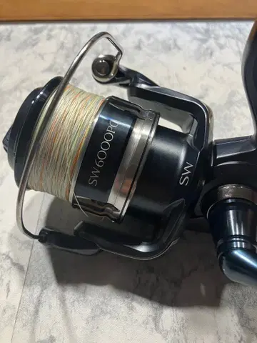 스트라딕 SW6000PG