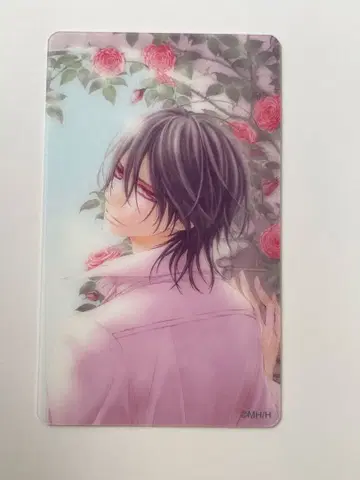 뱀파이어 기사 원화전 히노 마츠리 트레이딩 클리어 카드 스베루 2