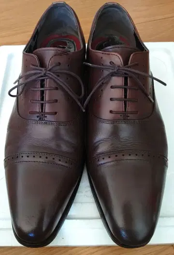MADRAS INC. 다크 브라운 드레스 슈즈