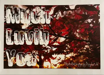 마츠시타 코헤이 엽서