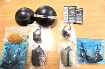 생물대도감 가부토 03 그랑 화이트 블랙