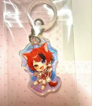 스토푸리 리이누군 오로라 참 STPRFamily