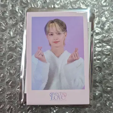 SEVENTEEN LOVE 준 캔뱃지