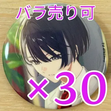 카가야 소우지 18TRIP 에이트리 캔뱃지 vol.6 30개