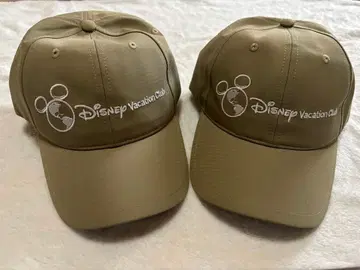 DVC 디즈니 베케이션 클럽