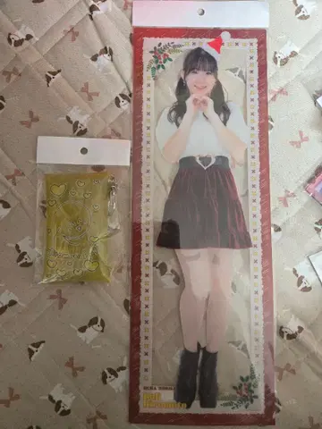 히로모토 루리 세트