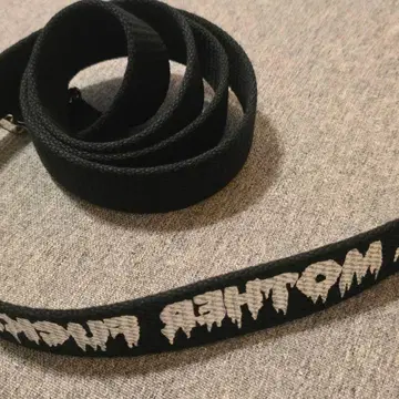 환각 알레르기 GI 벨트