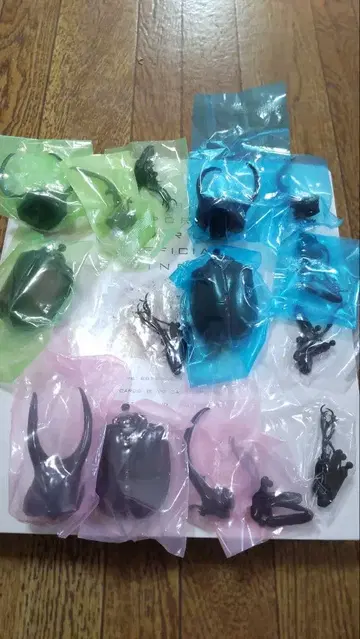 생물대도감 어드밴스 코카서스장수풍뎅이 전3종 미개봉