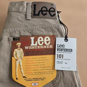lee101