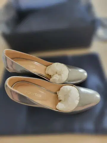 세르지오 로시 펌프스