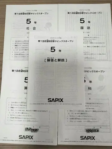 사피 제1회 지망교 진단 사피 오픈