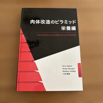 신체 개조의 피라미드 영양편