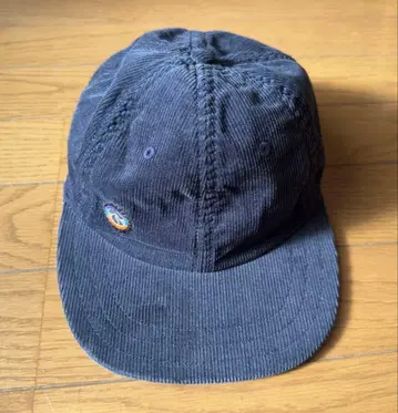 파타고니아 코듀로이 캡