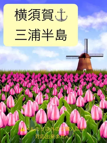 버스 가이드 자료 텍스트 교본 [ 요코스카 미우라 반도 ]