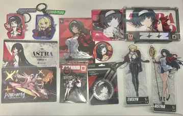 젠 제로 아스트라 이브린 굿즈 세트