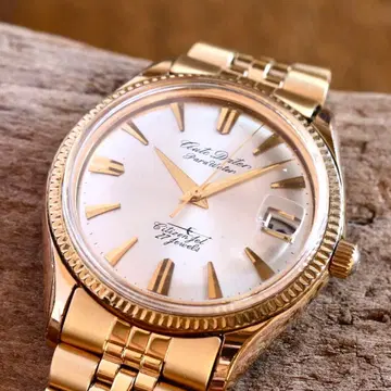 시티즌 제트 오토 데이터 파라 워터 골드 남성용 시계