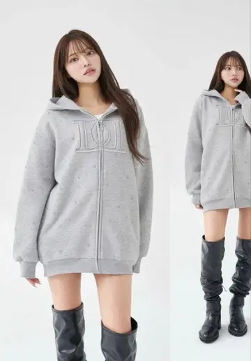 darichDD 로고 비쥬 지퍼 후드티