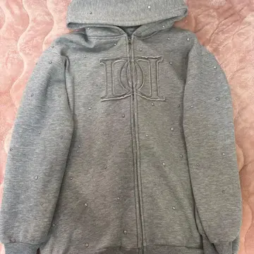 darichDD 로고 비쥬 지퍼 후드티