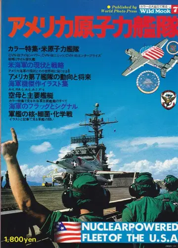 미국 원자력 함대