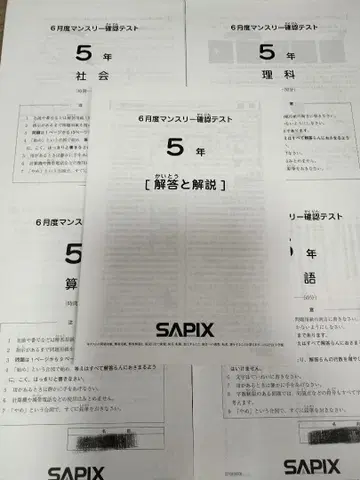 사피 5학년 6월 먼슬리 확인 테스트