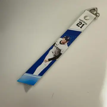 사이타마 세이부 라이온즈 땡스 페스티벌 본핀 타케우치 나츠키