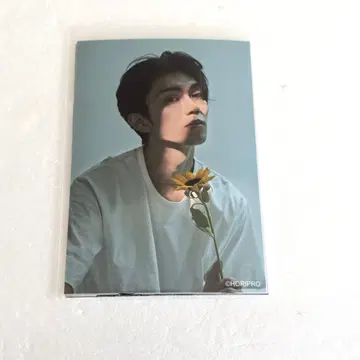 히구치 코헤이 생사진 B 세트 브로마이드 2025 5장