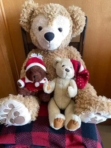 닷피 큰 것과 작은 베어 두 마리