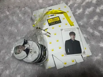2015 FNC KINGDOM FTISLAND 캔 배지 세트
