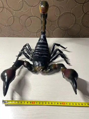 스콜피온 피규어 약 30cm
