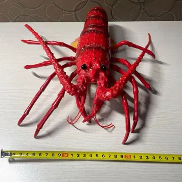 리얼 랍스터 피규어 약 30cm