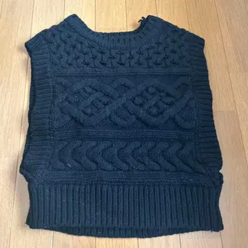 Gypsophila 팝콘 베스트