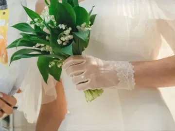 더 트리트 드레싱 그로브