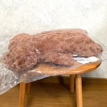 Francfranc  토이 푸들 M 브라운