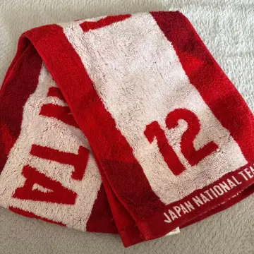 타카하시 아이 자카드 타월