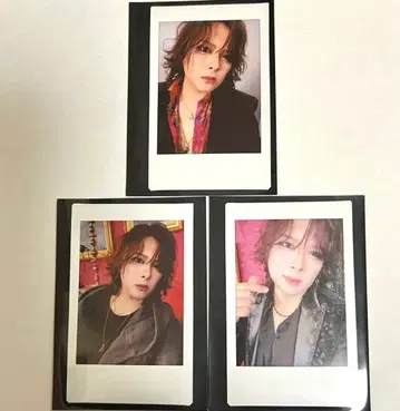 ViViD RENO 폴라로이드 2