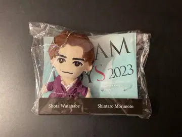 DREAMBOYS 와타나베 쇼타 봉제 인형 드림보이